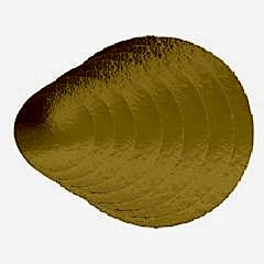 Pasta Altı Gold Mukavva Karton Çap 24 Cm 100 Adetli
