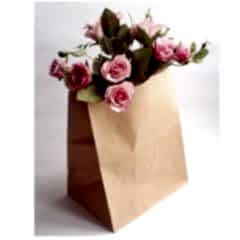 Kese Kraft 18x24x9 Cm Kare Dipli