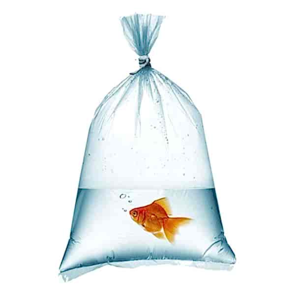 Naylon Torba 40X60 cm 1 kglık pakette