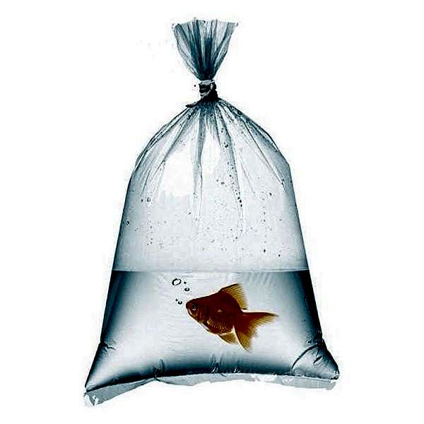 Naylon Torba 60X90 cm 1 kglık pakette