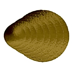 Pasta Altı Gold Mukavva Karton Çap 9 Cm 100 Adetli