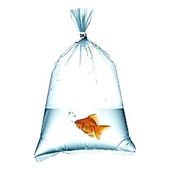 Naylon Torba Birlik 20x30 cm 1 kglık Paketlerde