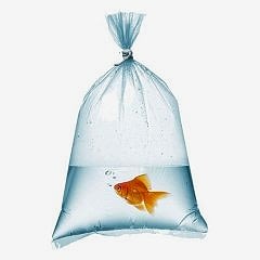 Naylon Torba Üçlük 25x42 cm 1 kglık Paketlede