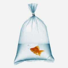 Naylon Torba Dörtlük 28x45 cm 1 kglık Paketlerde